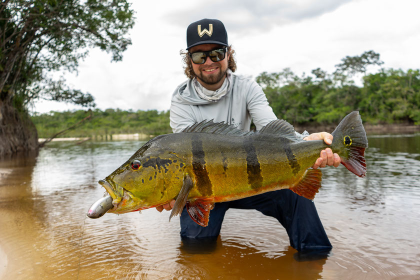 peacock bass colombia