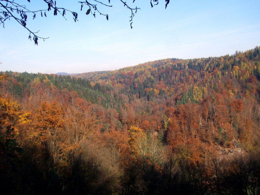 Blick zum Schwarzbachtal