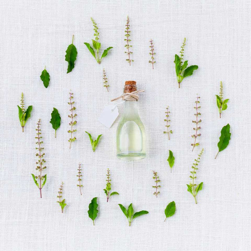Diverse Kräuter und natürliche Produkte für Natur-Kosmetik