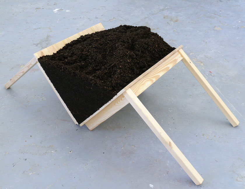 Sans titre, 2008. Série Juxtapositions. Table, terreau. Dimensions variables. © Martin Aullas