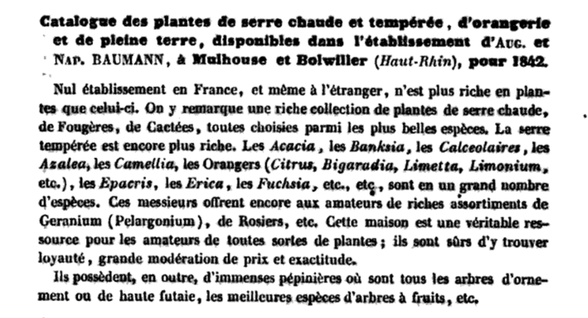 Catalogue des plantes disponibles dans les établissements Baumann, Bulletin de l'horticulteur Universel, 1842, page 318