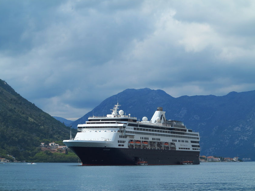 Kreuzfahrtschiff "Veendam" in der Bucht von Kotor