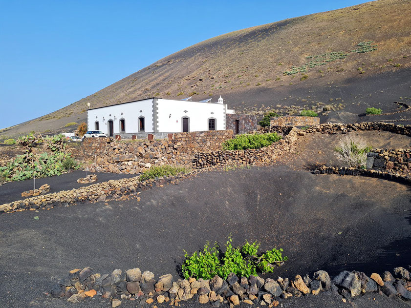 Finca de la Geria im Weinbaugebiet von Lanzarote