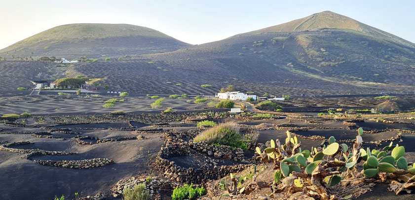 Blick von der Finca de la Geria in das Weinbaugebiet