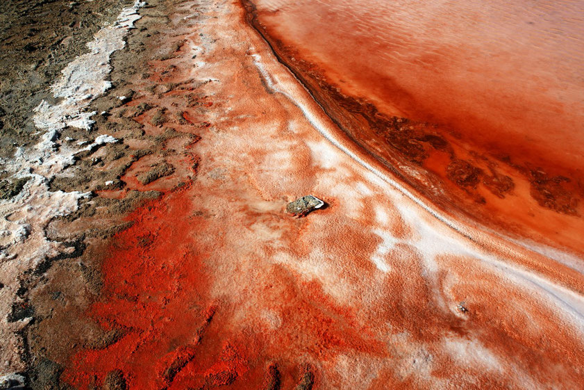 Lanzarote, 2010