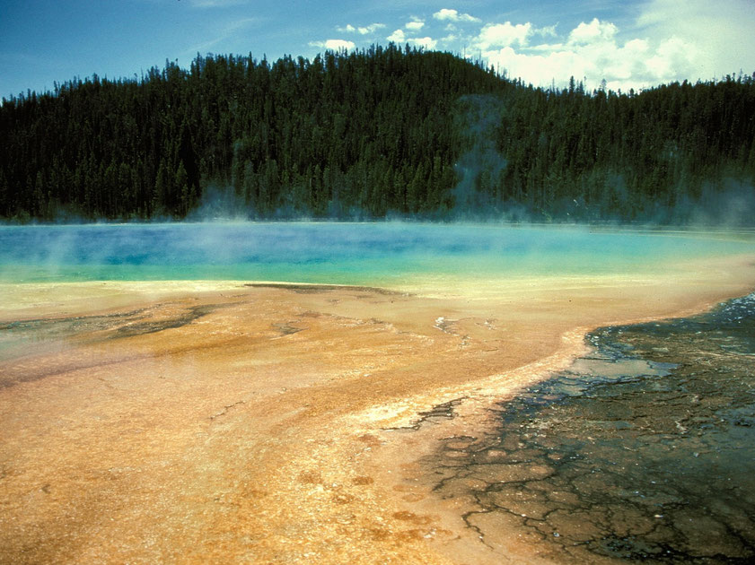 Yellowstone Nationalpark (Film-Menü)