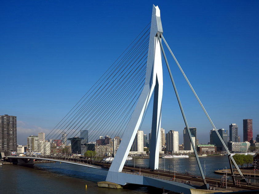 Erasmusbrücke über die Nieuwe Maas. Blick vom 7. Stock von De Rotterdam