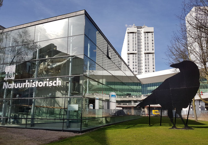 Natuurhistorisch Museum neben der Kunsthal, im Hintergrund das Großklinikum Erasmus MC