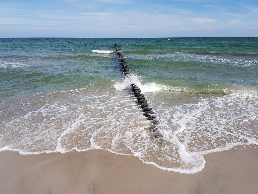 Buhnen bei Zingst