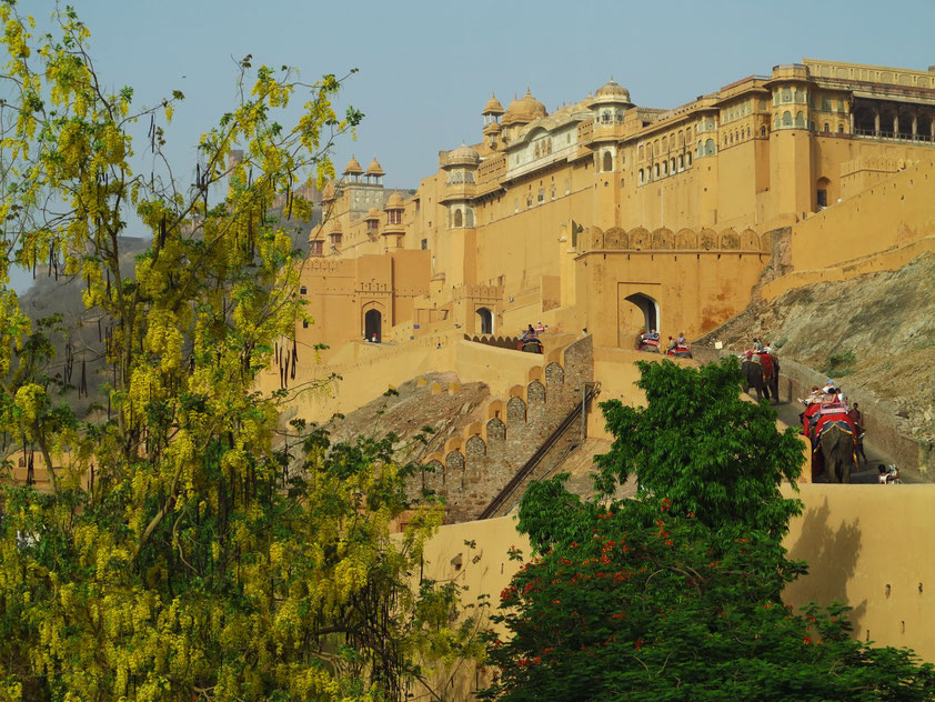 Das Fort Amber war der Fürstenpalast der Kachchwaha-Dynastie, bevor Jaipur zur Residenzstadt wurde. 