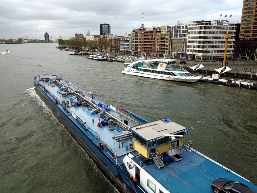 Blick von der Erasmusbrücke nach Westen auf die Nieuwe Maas und die Bebauung an der Willemskade