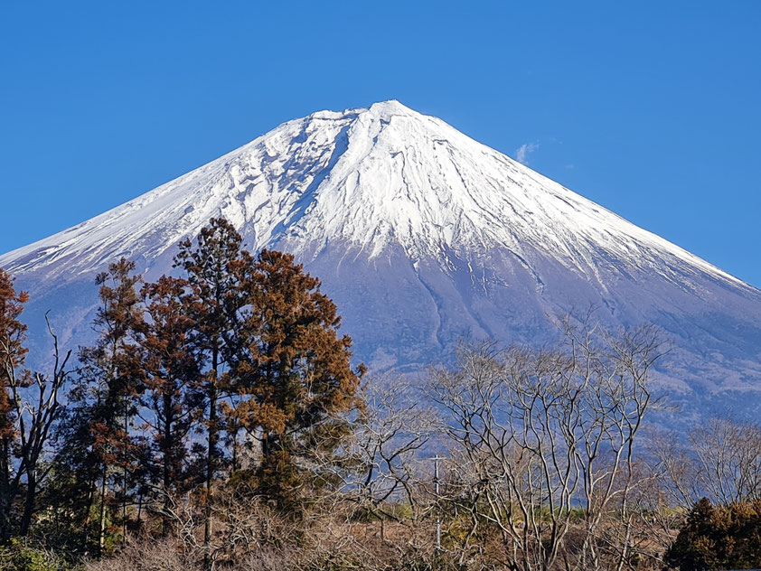 Schneebedeckter Fujij bei Shimizu/Japan (16.1.2026)