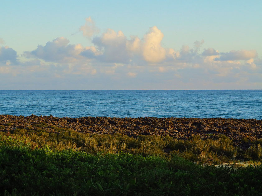 Blick aus der Junior-Suite 2012 zum Meer