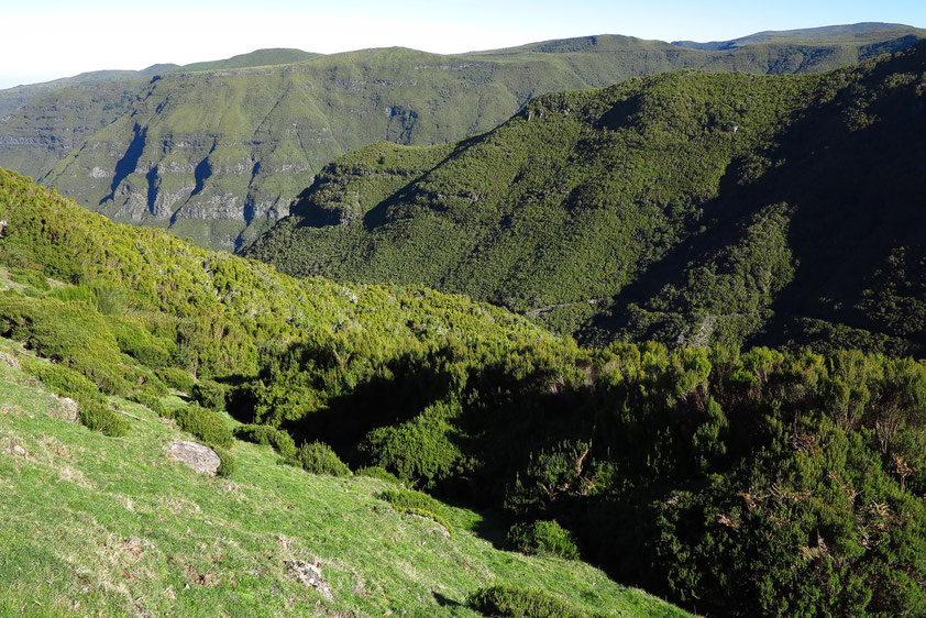 Talung von Rabacal im Parque Natural da Madeira