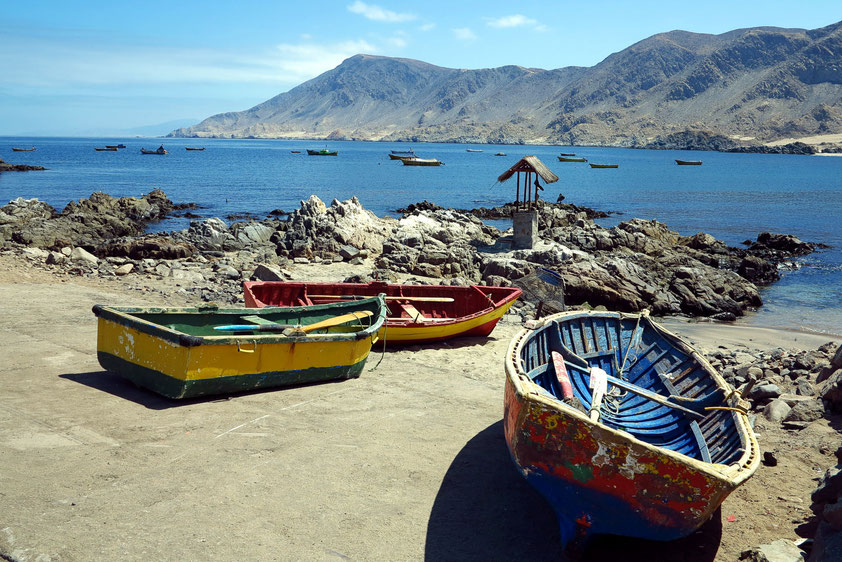 Fischerboote im Hafen des Pan de Azucar Nationalparks