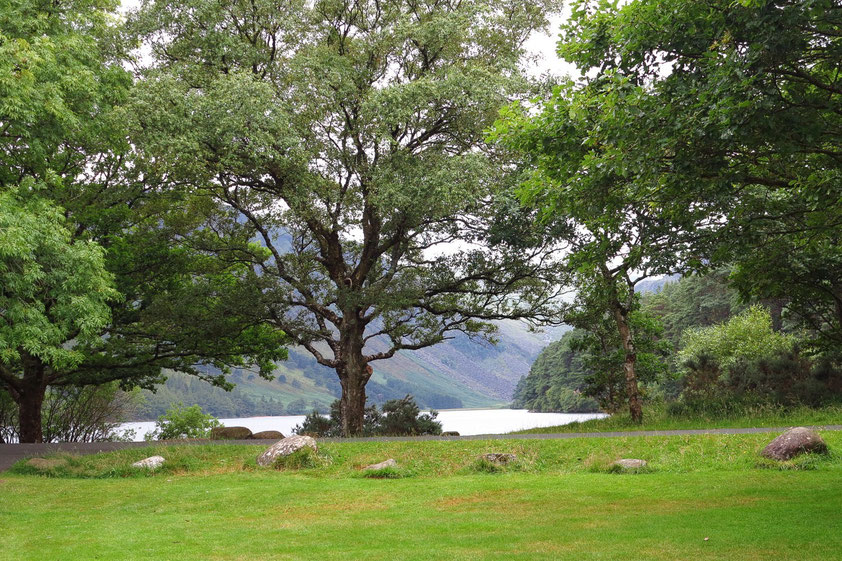 Glendalough ("Tal der zwei Seen") in den Wicklow Mountains. Blick auf den oberen See