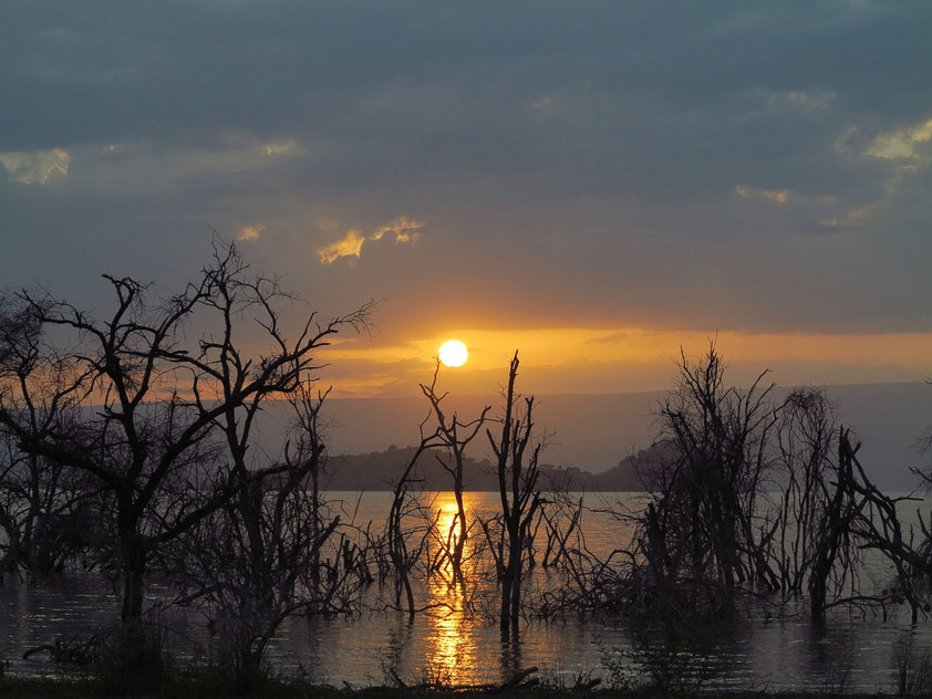 Sonnenaufgang am Baringosee