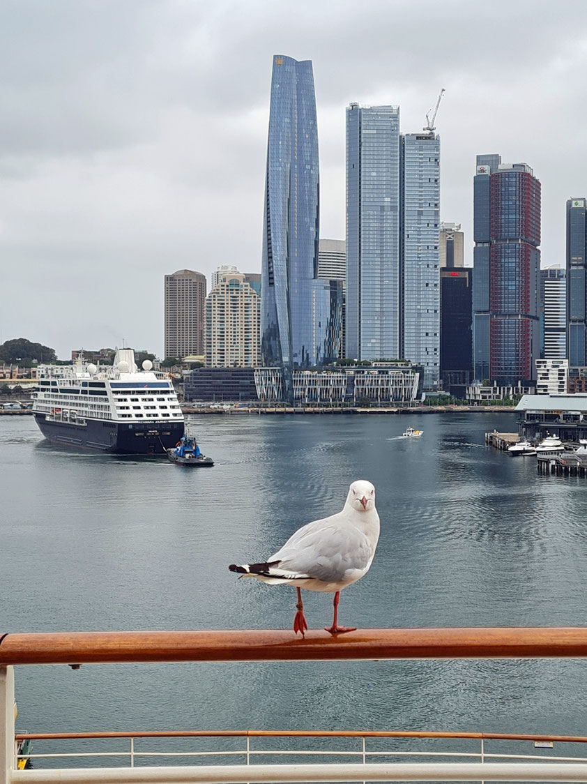 Ausfahrt der AIDAsol aus Sydney