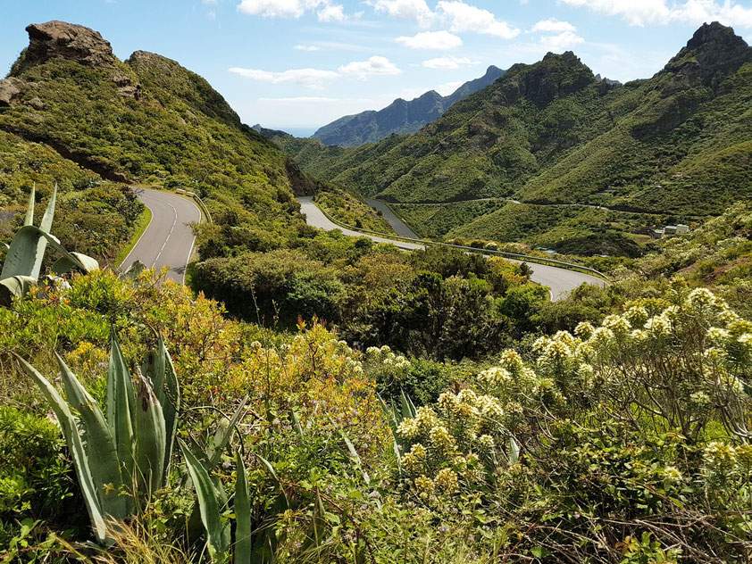 Im Anaga-Gebirge. Straße TF-12 von San Andrés zur Cumbre