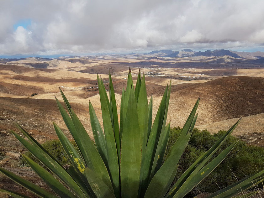 Blick vom Mirador de Morro Velosa (Agave)