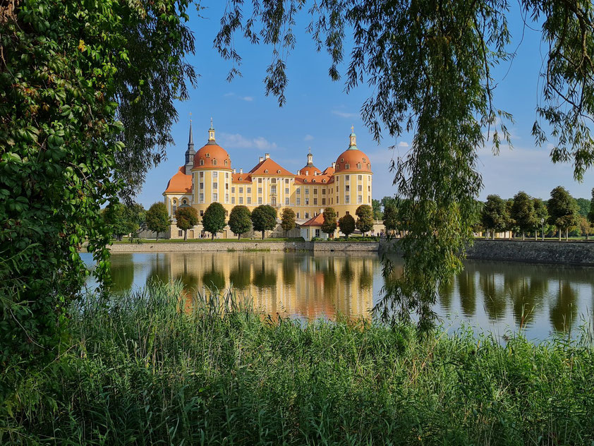 Schloss Moritzburg mit Schlossteich, Blick von Südwesten