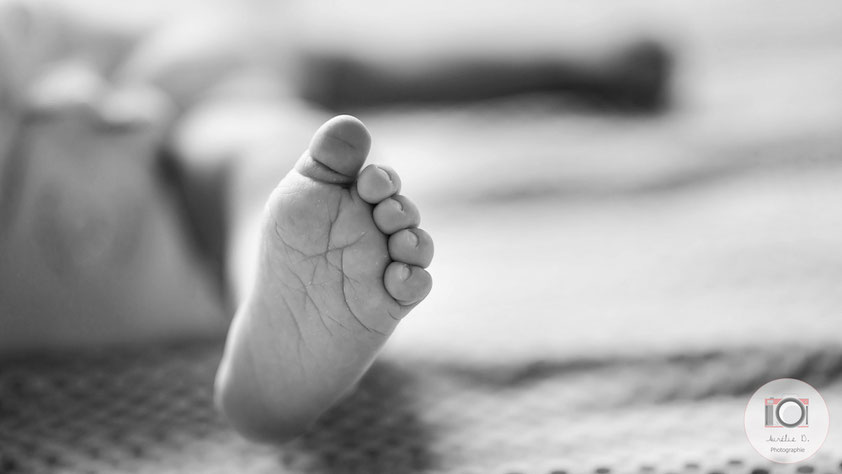photographe nouveau né, bébé, grossesse, famille, séance photo, maternité