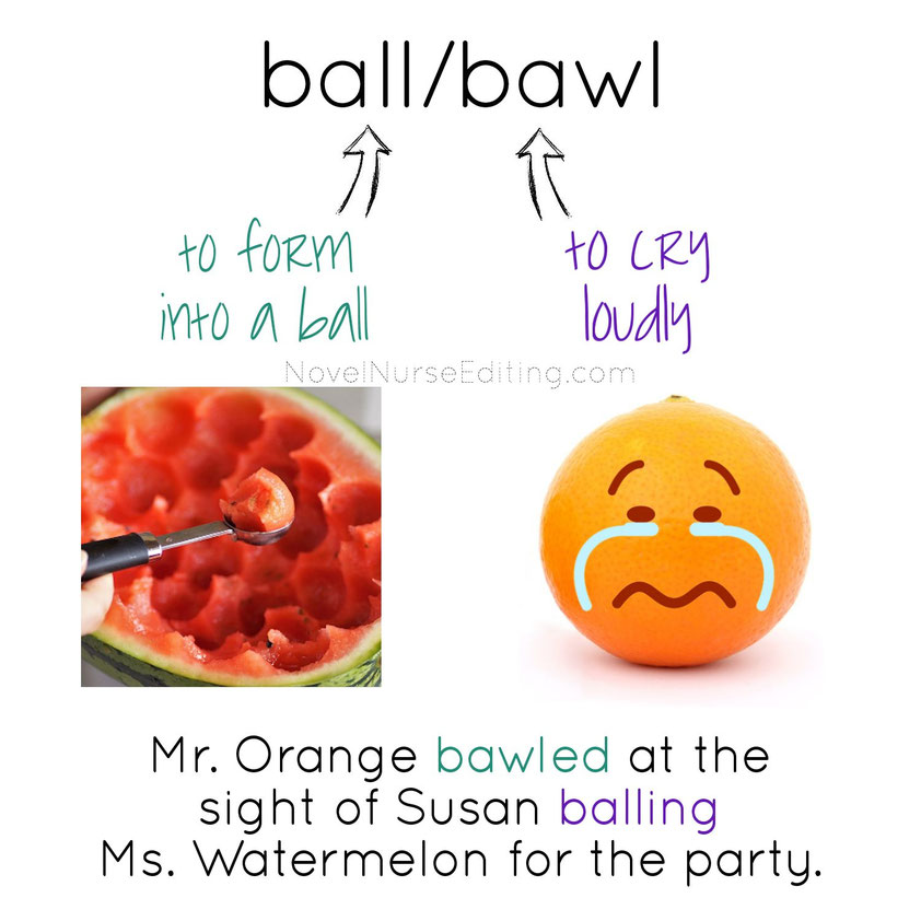 Homonyms Definitions, Examples, & Memes Novel Nurse Editing