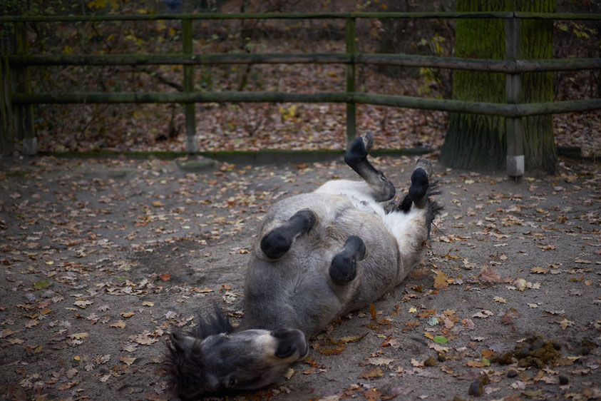 Unser Wochenende in Bildern: 20. November