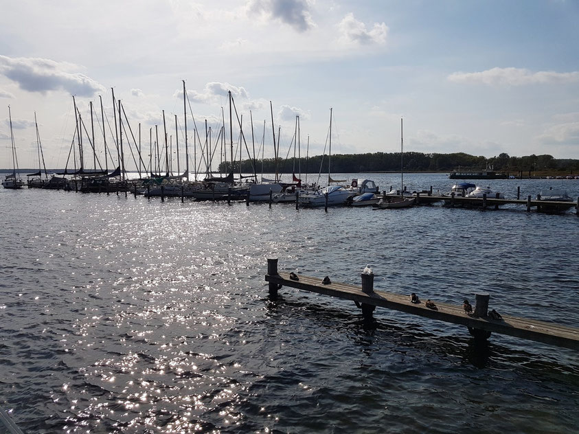 Rerik, Blick zum Salzhaff, mit Anleger des Segelclubs Alt Gaarz