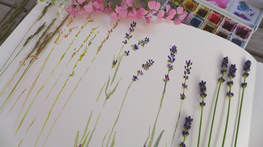 Inspiration - Lavendel und Gräser skizzieren