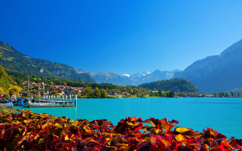 Brienz seen from the Lake