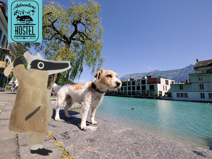 Go on a detective trail treasure hunt with the kids in Interlaken