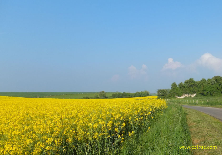 Heureux qui, comme Ulysse, a fait un beau voyage