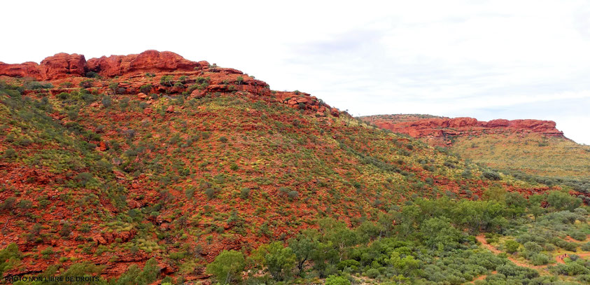De rouge et de vert, Watarrka National Park, Australie?, photo non libre de droits