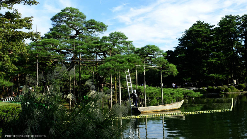 Jardin deKenroku-En, Japon