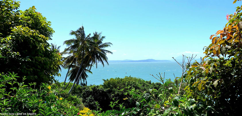 Vue sur la mer de corail, Port douglas, Australie, photo non libre de droits