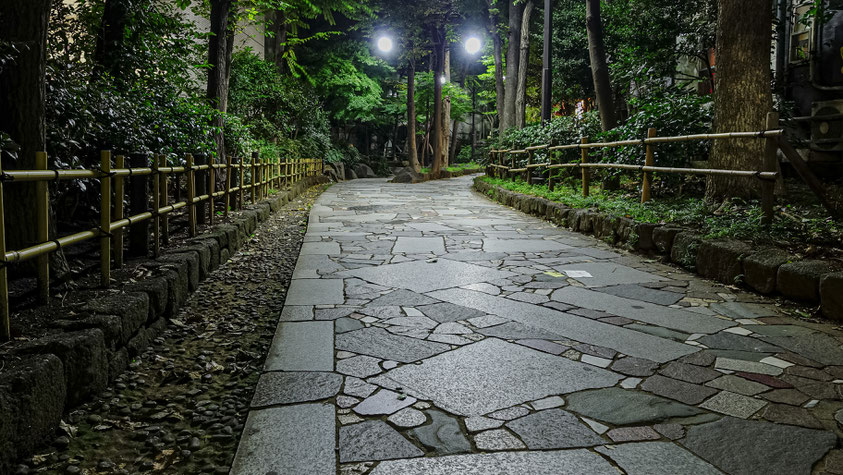 Shiki no Michi Promenade, Golden Gai, Tokyo, photo non libre de droits