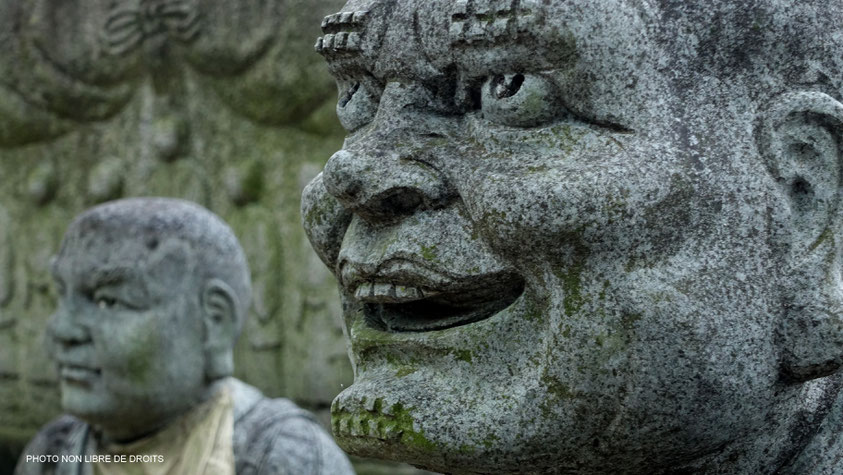 Moine moqueur, Zentsu-Ji, photo non libre de droits