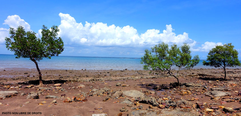 Bicentennial Park, Darwin, Australie