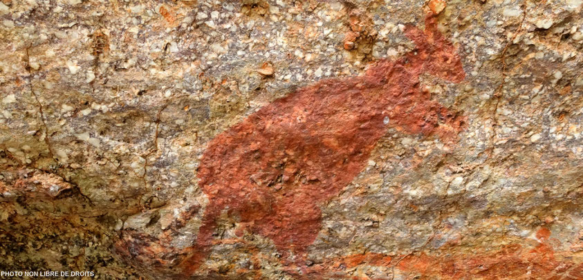 Kangourou, Nourlangie, Kakadu National Park, photo non libre de droits