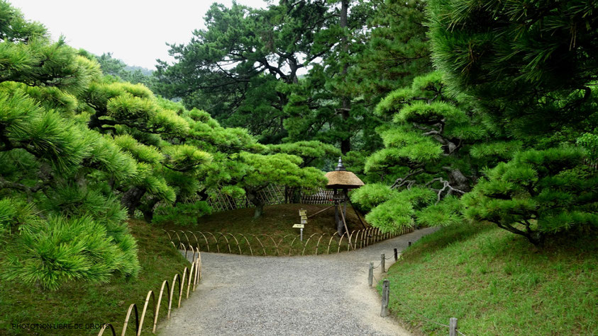 Allées verdoyantes, jardin de Ritsurin, île de Shikoku, photo non libre de droits