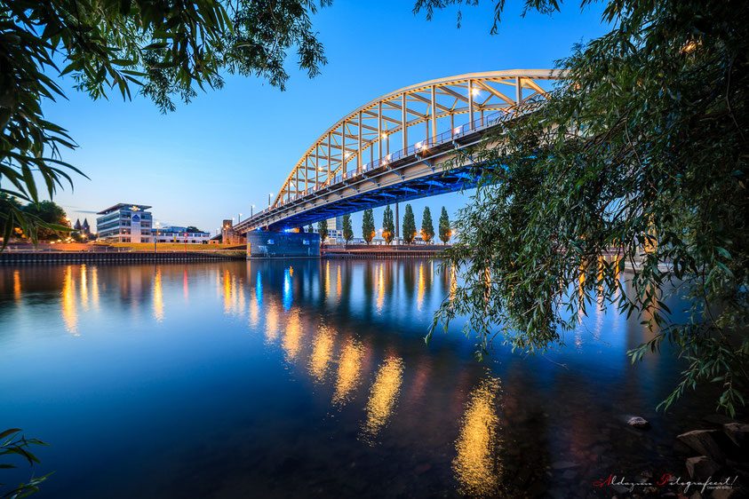 John Forstbrug Arnhem nldazuufotografeert