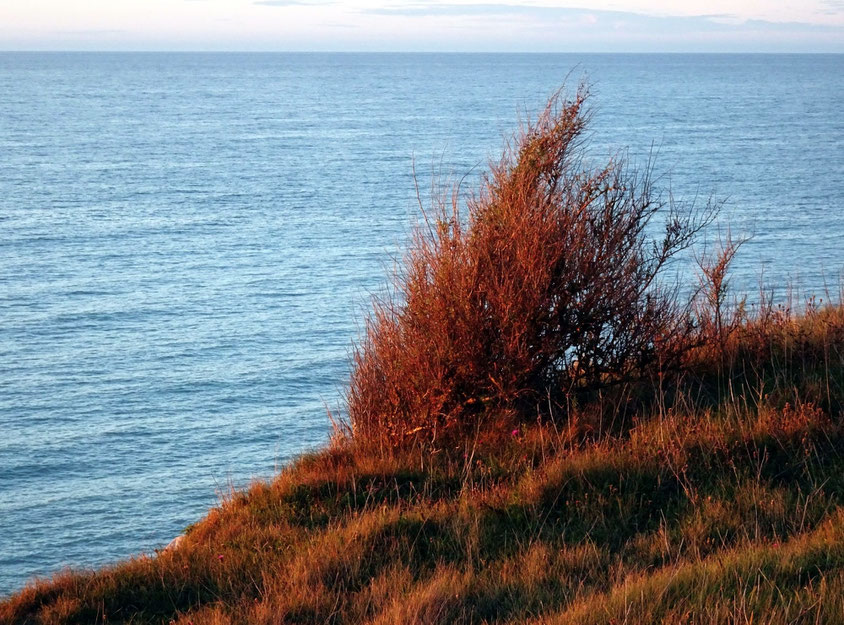 Soleil couchant sur la falaise à Onival