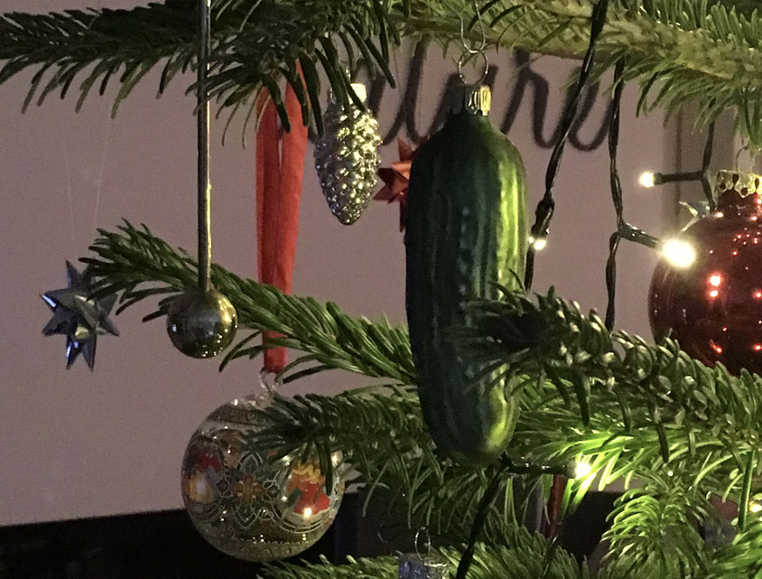 Gurke am Weihanchtsbaum ich bin im garten.de