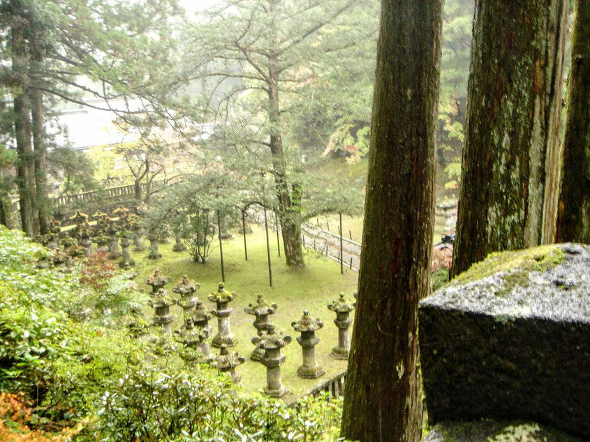 北村匠海さんの性格・運気・運勢を占ってみると