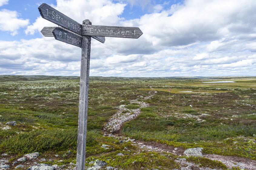 Hiking in Fulufjället, Dalarna, Sweden © François Struzik - simply human 2017