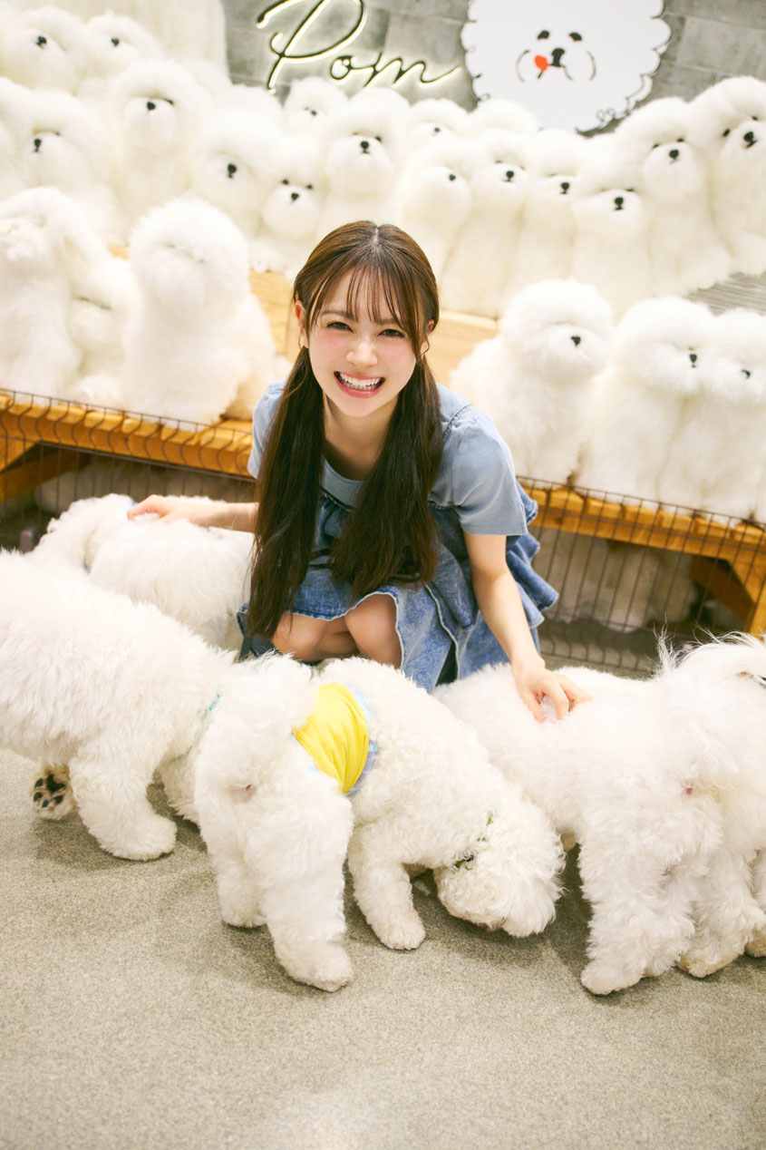 「鎌倉の犬カフェで出会ったビションフリーゼが可愛すぎてすごく癒されました」(伊藤百花) 撮影・熊木 優
