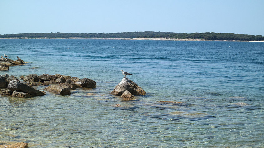 Hotspot Istrien | Wunderschönes Kroatien #croatiandays | Kurztrip nach Fazana | hot-port.de | 30+ Lifestyle Blog