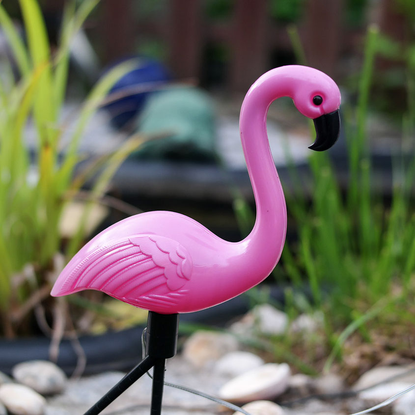 Style Trend Flamingo X Papagei | Feshe Vögel für den Sommer | Hot Port Life & Style | 30+ Style Blog