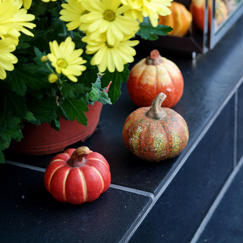 Hola Hola, der Herbst ist da und mit ihm all die wunderbaren Deko Trends, die aus Deinem Zuhause im Handumdrehen eine Wohlfühloase zaubern. Von coolen Rattan Übertöpfen über Mini Kürbisse bis hin zu leuchtenden Blumen & coolen Gräsern | Hot Port Life & Style | www.hot-port.de | Mode & Lifestyle Blog für Trendsetter und solche, die es gern werden möchten